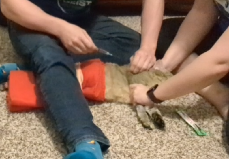 The nightly ritual.  Screenshot from an instructional video we made for family.